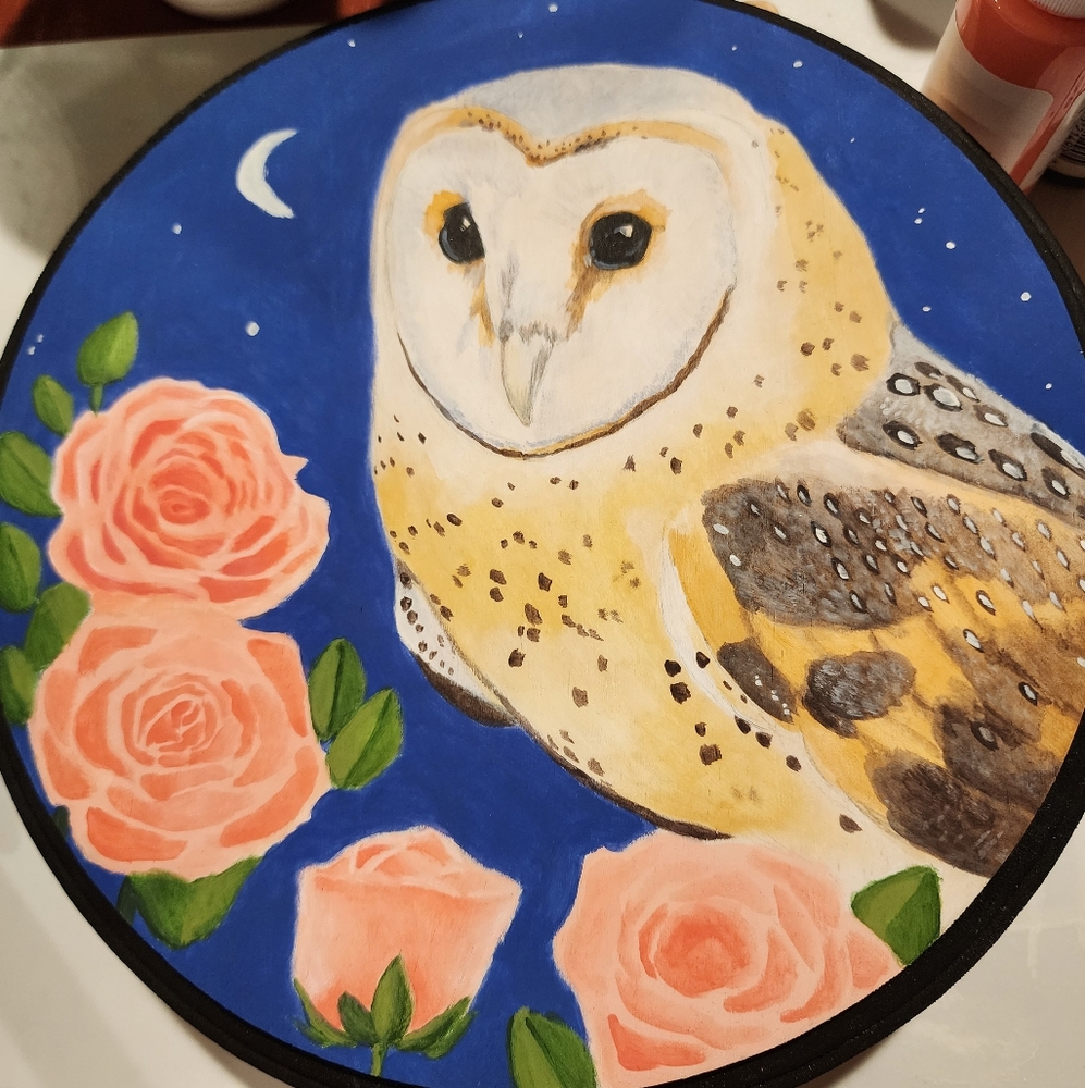 Hand painted Owl and rose night art wood plaque